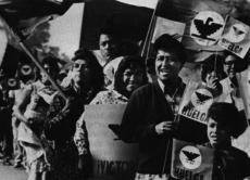 César Chávez and the UFW